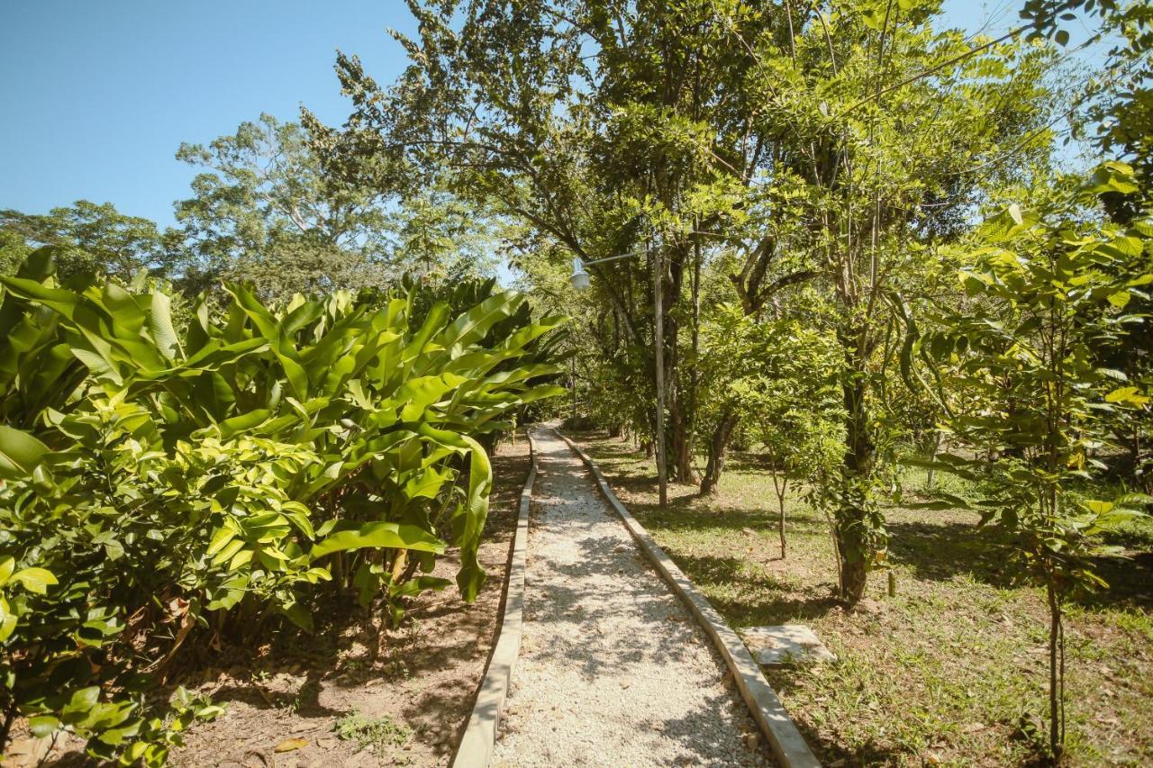 Cabanas Kin Balam Palenque Hotell Eksteriør bilde